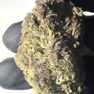 Frosted Cherry Bomb - Light Assist THCA Flower (Sativa)