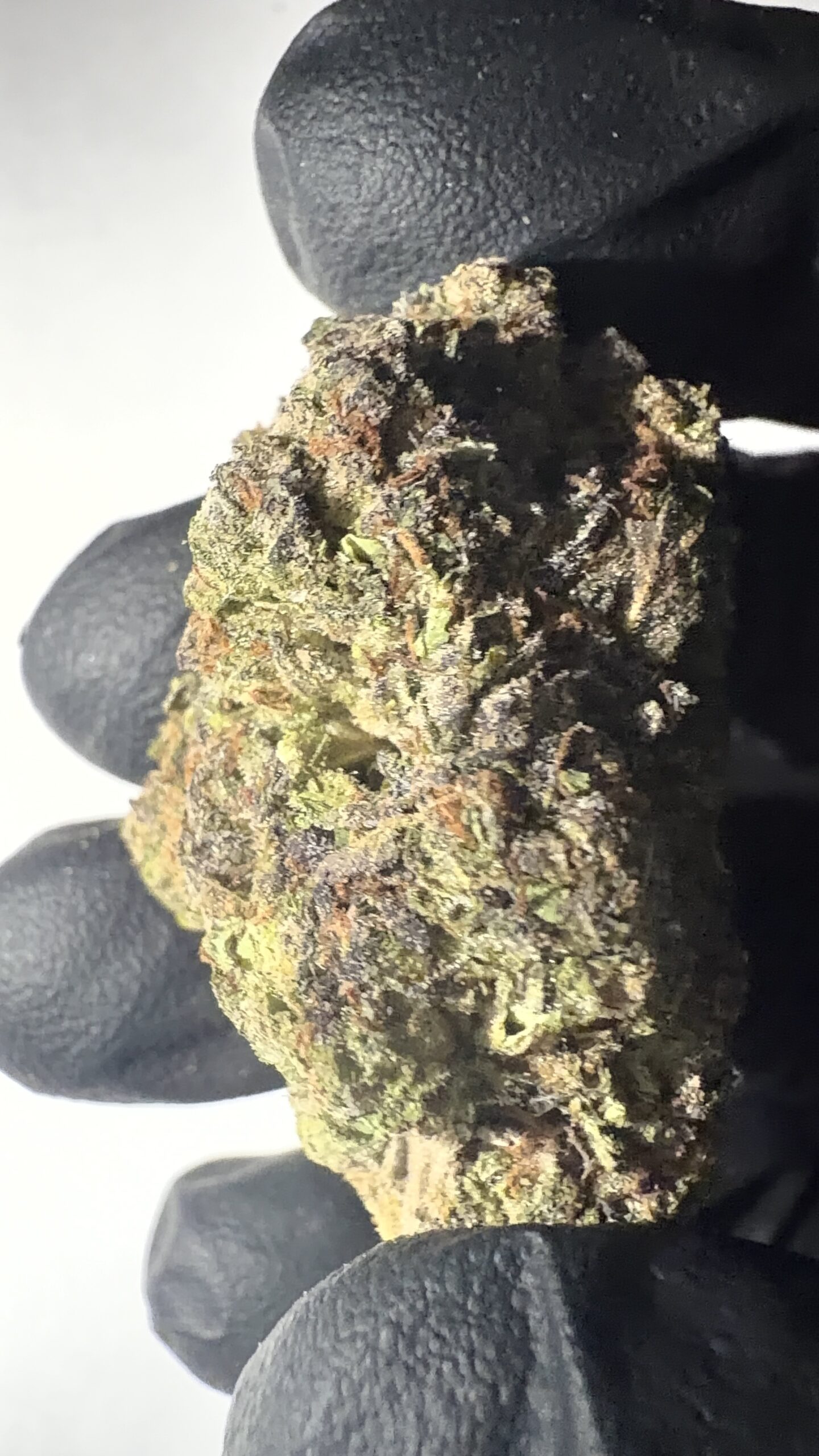 Frosted Cherry Bomb - Light Assist THCA Flower (Sativa)