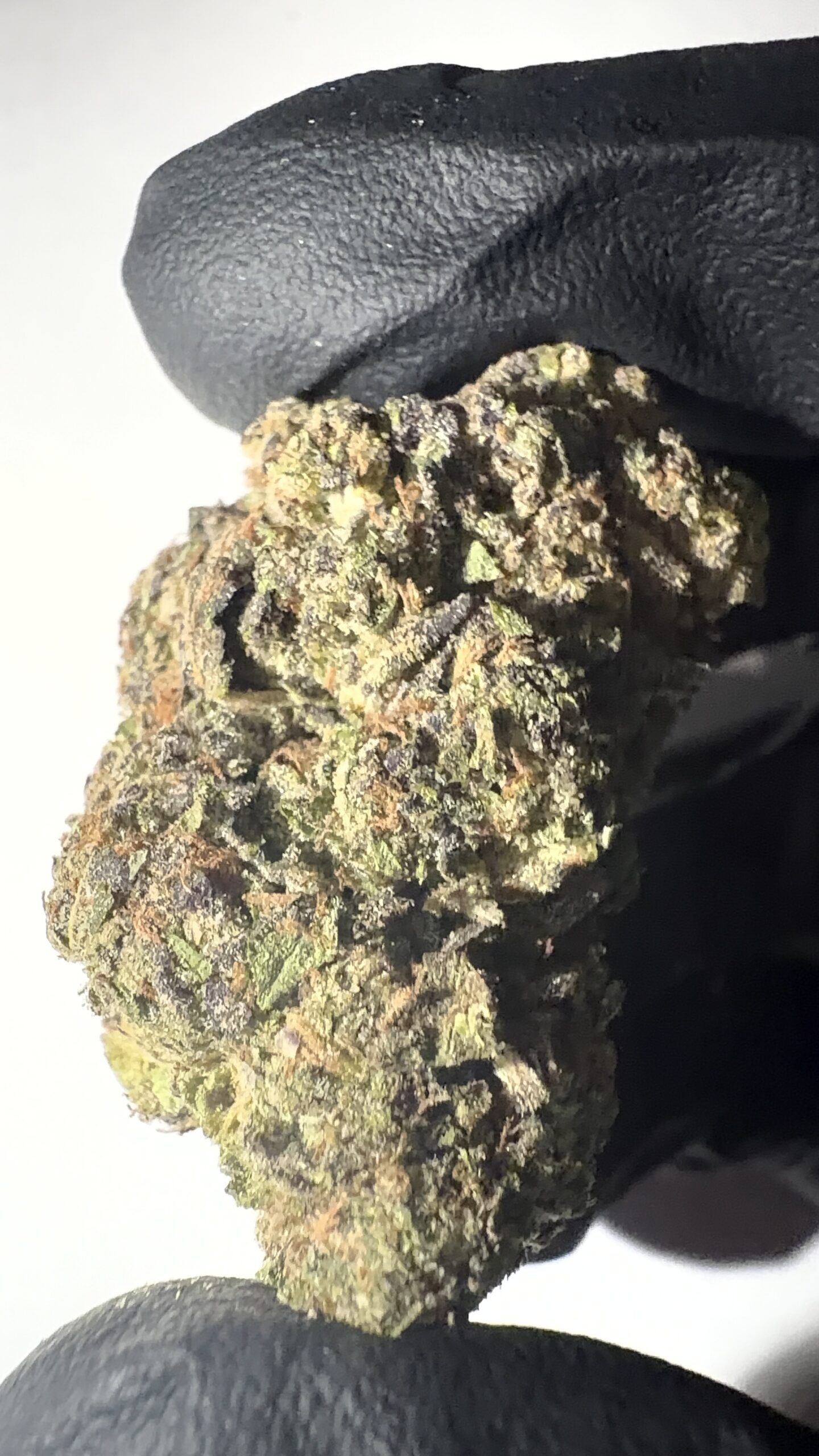 Frosted Cherry Bomb - Light Assist THCA Flower (Sativa) - Image 3