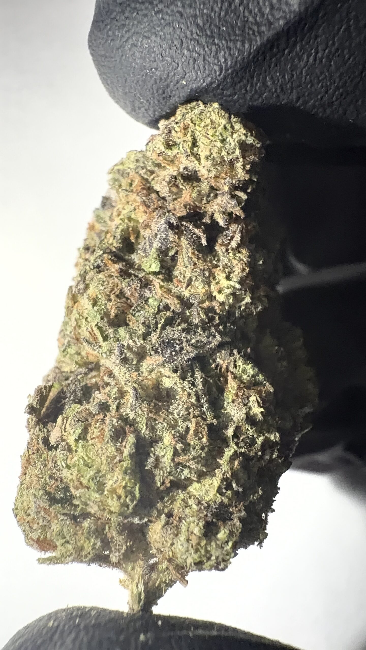 Frosted Cherry Bomb - Light Assist THCA Flower (Sativa) - Image 4