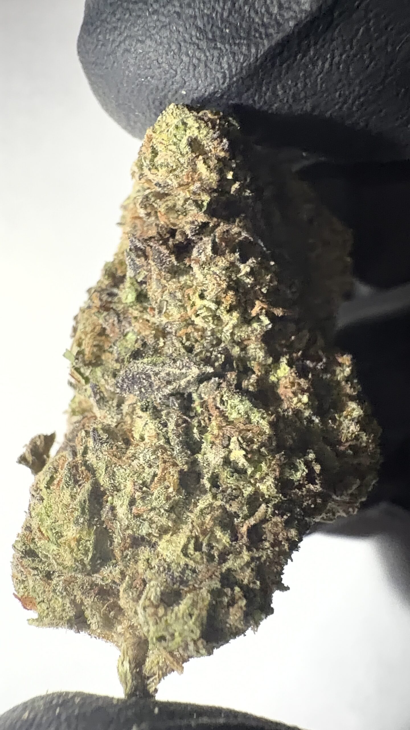 Frosted Cherry Bomb - Light Assist THCA Flower (Sativa) - Image 5