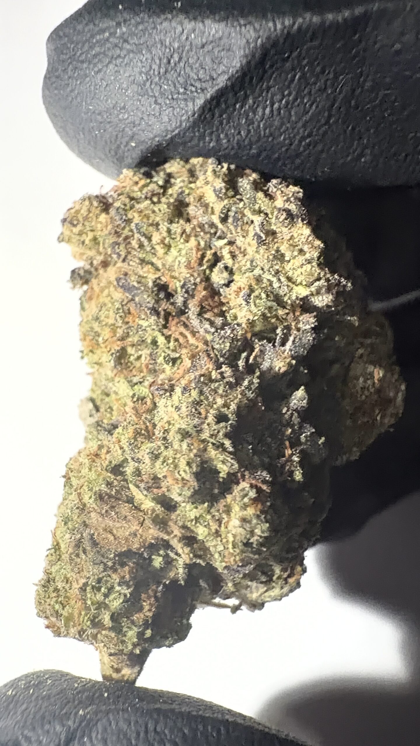 Frosted Cherry Bomb - Light Assist THCA Flower (Sativa) - Image 6
