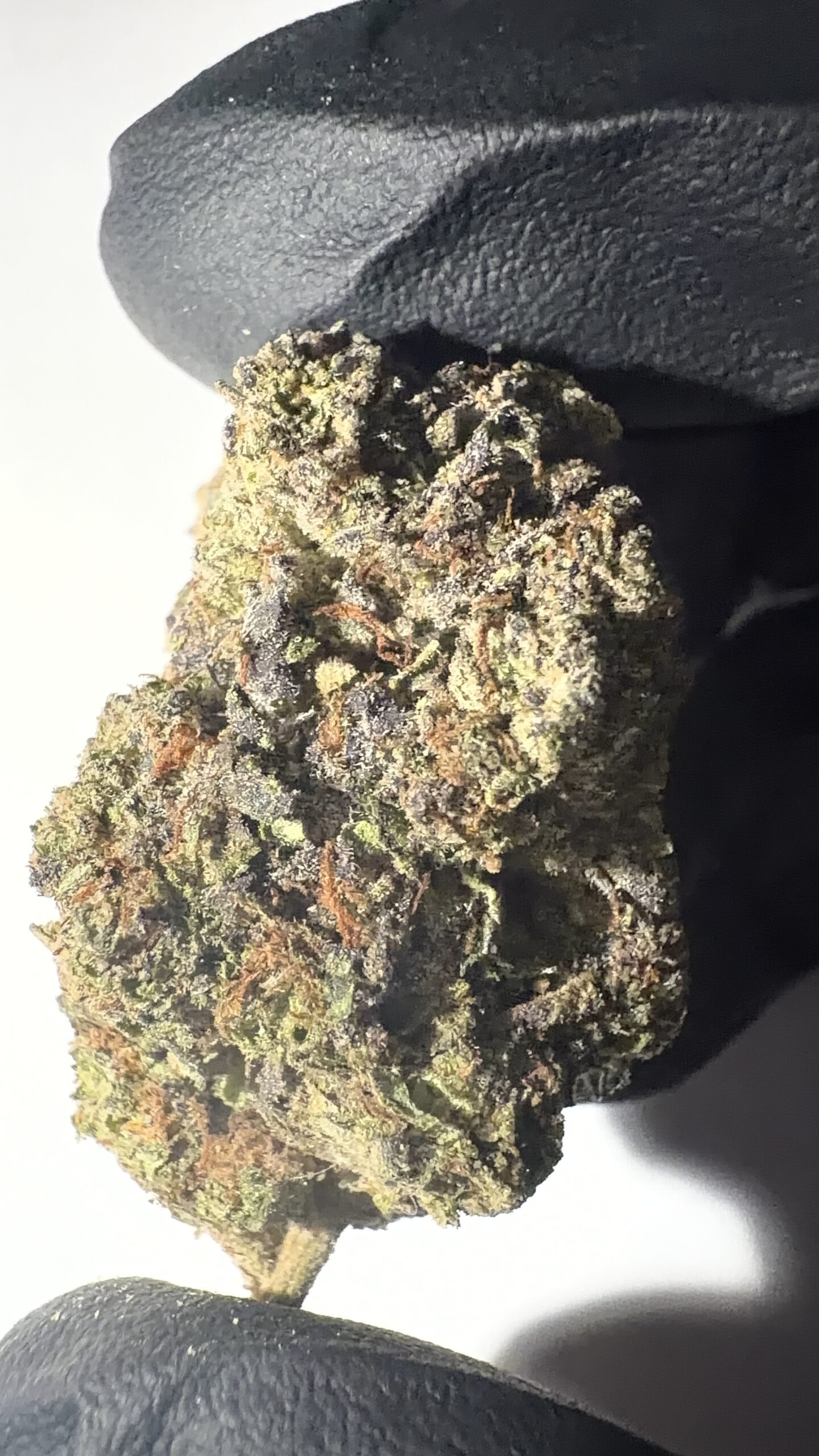 Frosted Cherry Bomb - Light Assist THCA Flower (Sativa) - Image 7