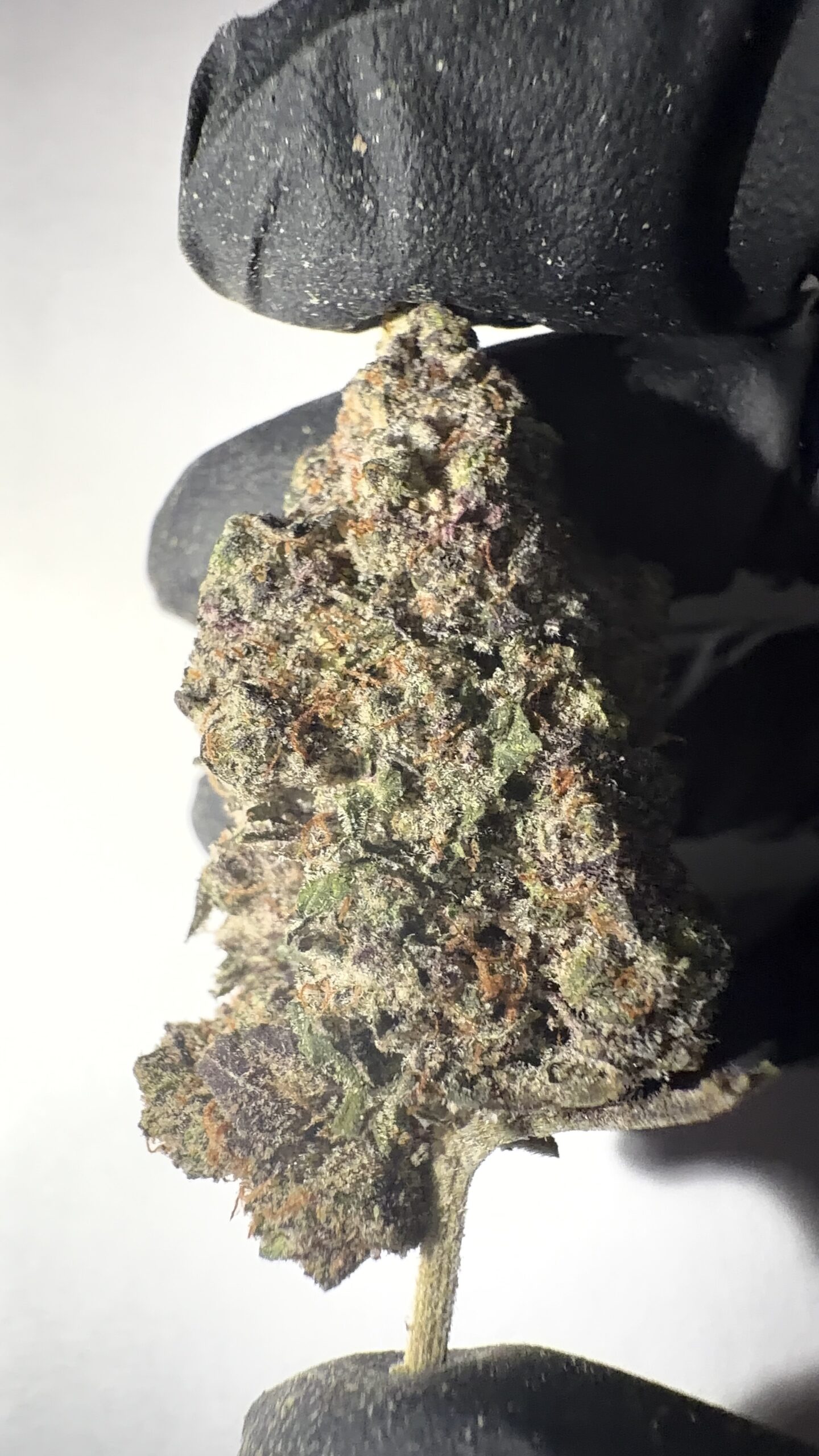 Gorilla Glue - THCA Flower (Hybrid) - Image 4