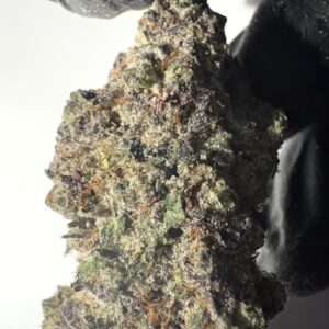 Gorilla Glue - THCA Flower (Hybrid)