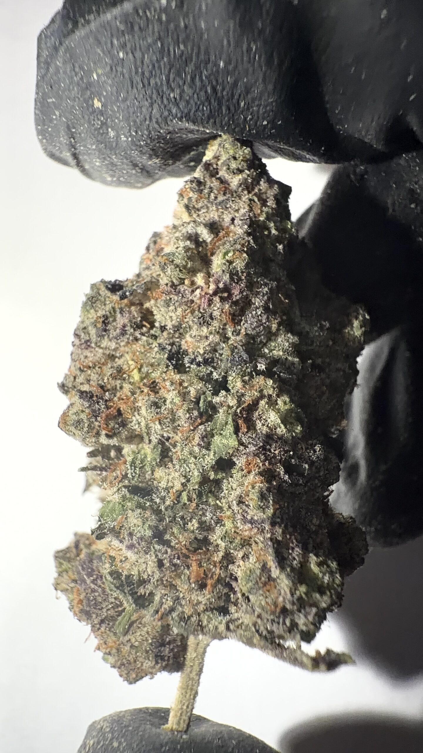 Gorilla Glue - THCA Flower (Hybrid)