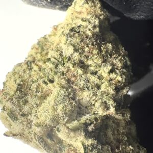 Headband - THCA Flower (Hybrid)