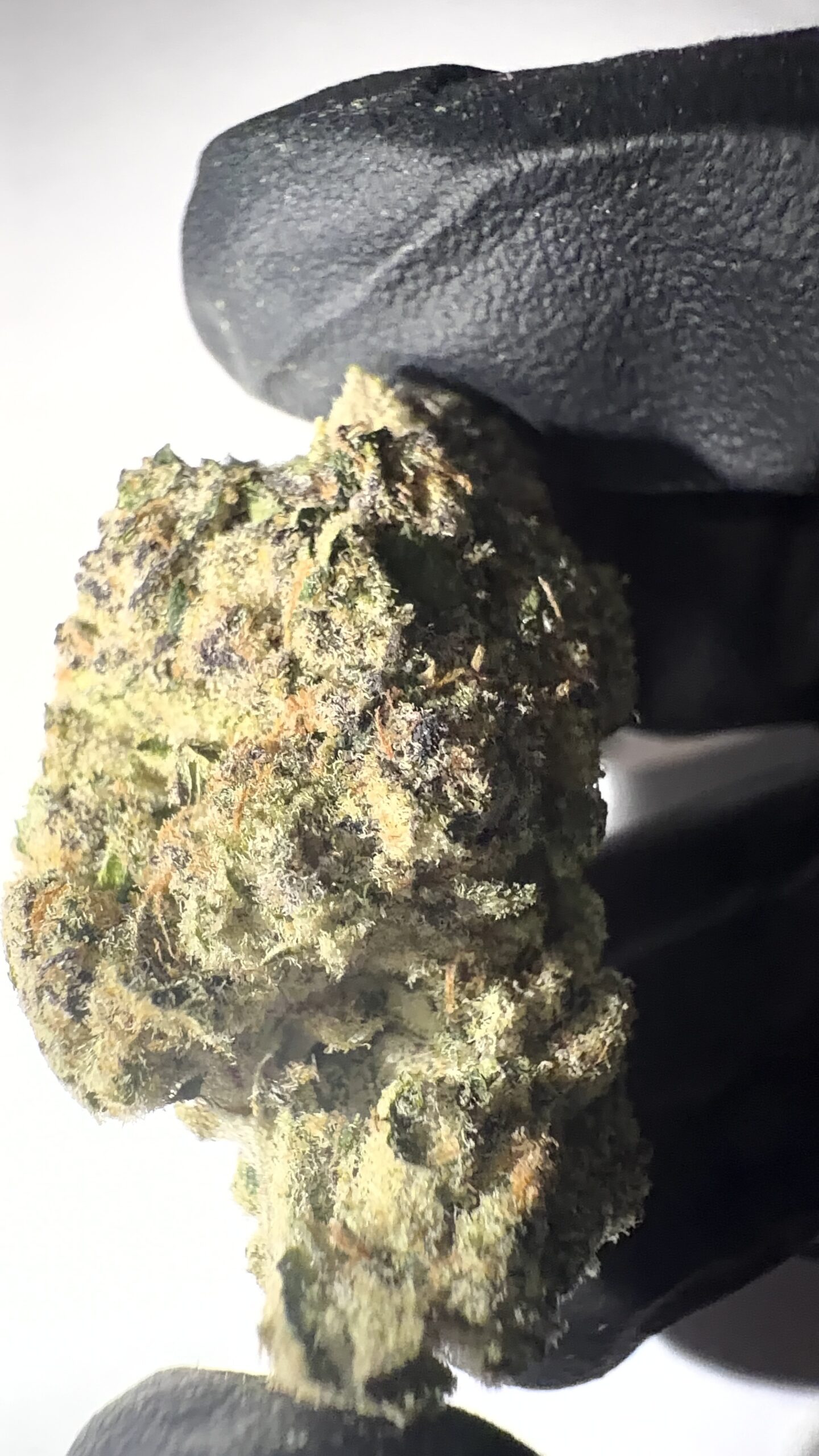 Lemon Cherry Runtz - THCA Flower (Sativa) - Image 2