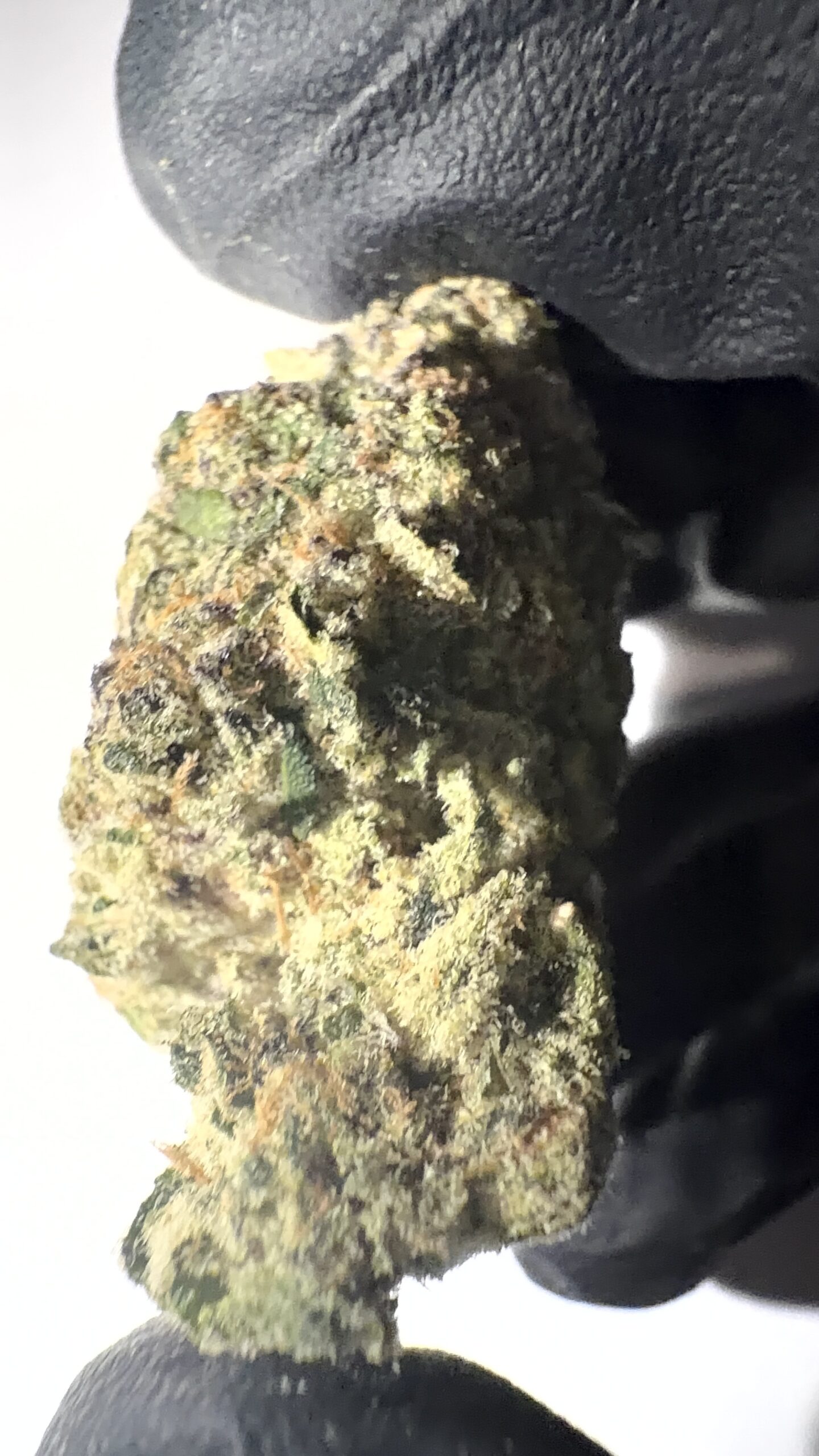 Lemon Cherry Runtz - THCA Flower (Sativa) - Image 4