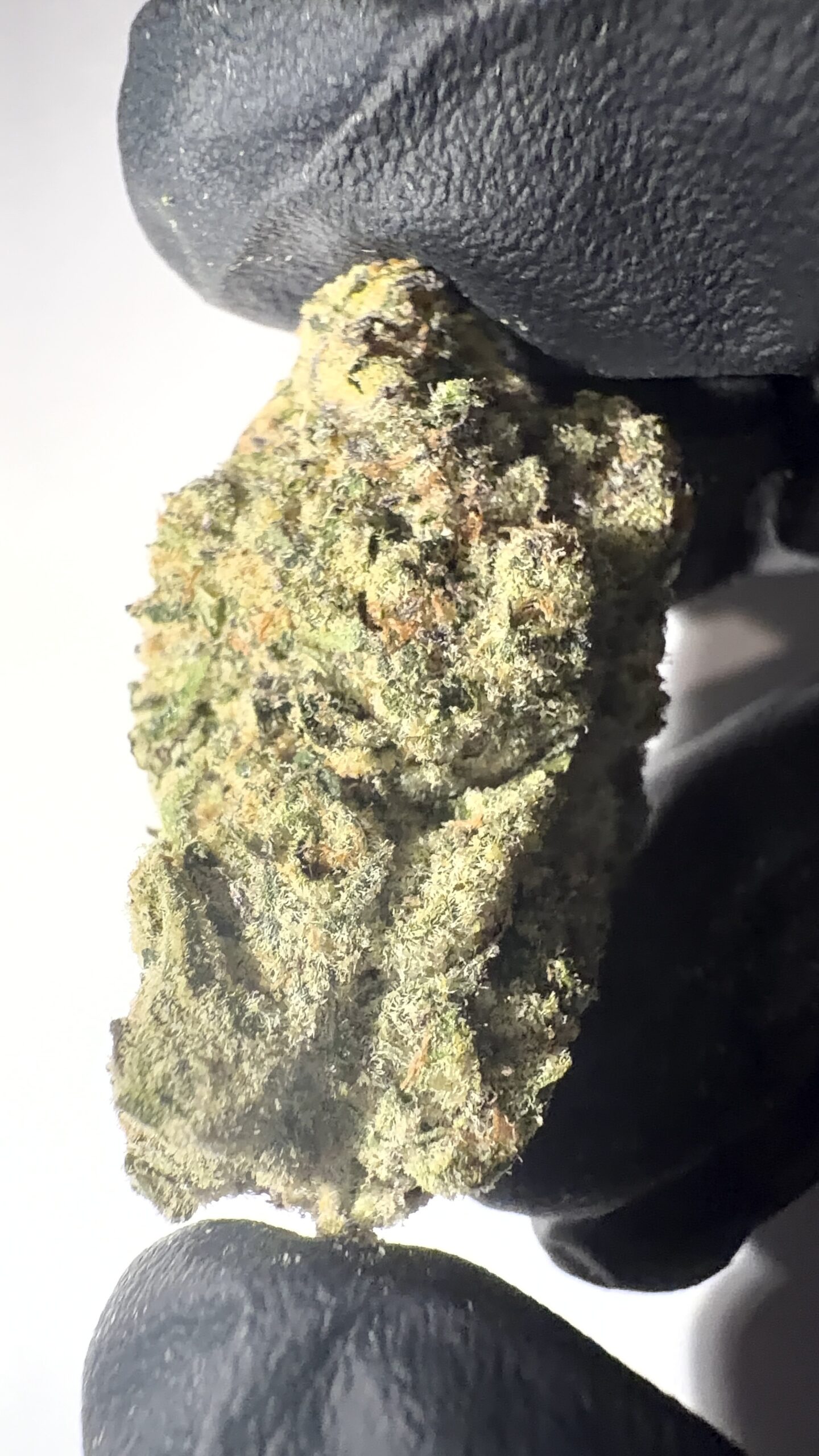 Lemon Cherry Runtz - THCA Flower (Sativa)