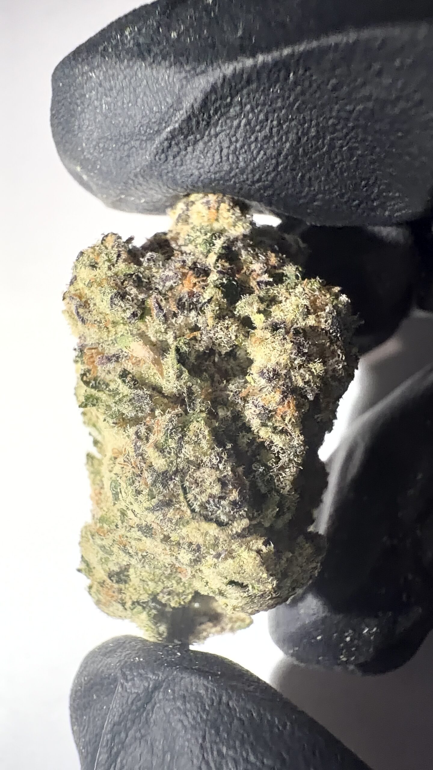 Lemon Cherry Runtz - THCA Flower (Sativa) - Image 5