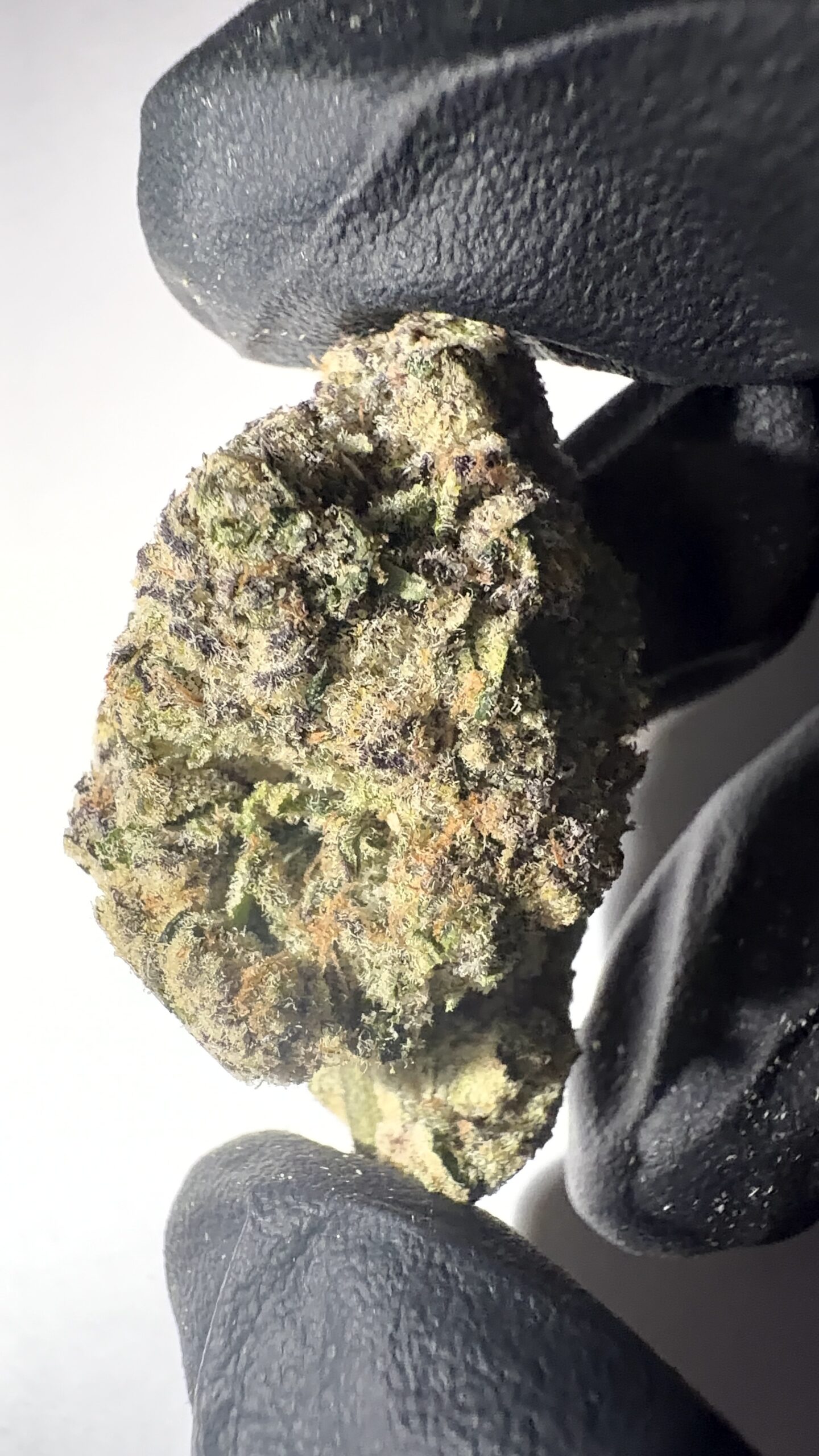 Lemon Cherry Runtz - THCA Flower (Sativa) - Image 6