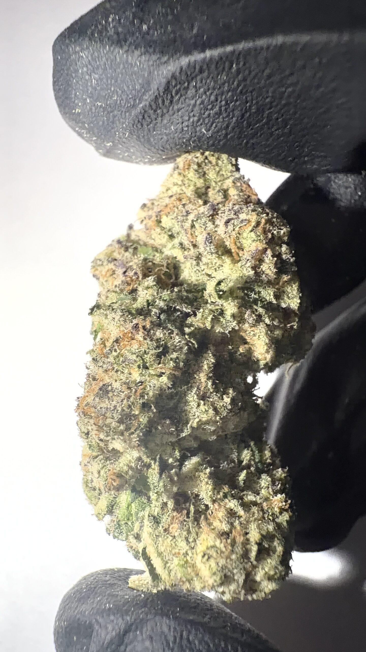 Lemon Cherry Runtz - THCA Flower (Sativa) - Image 7