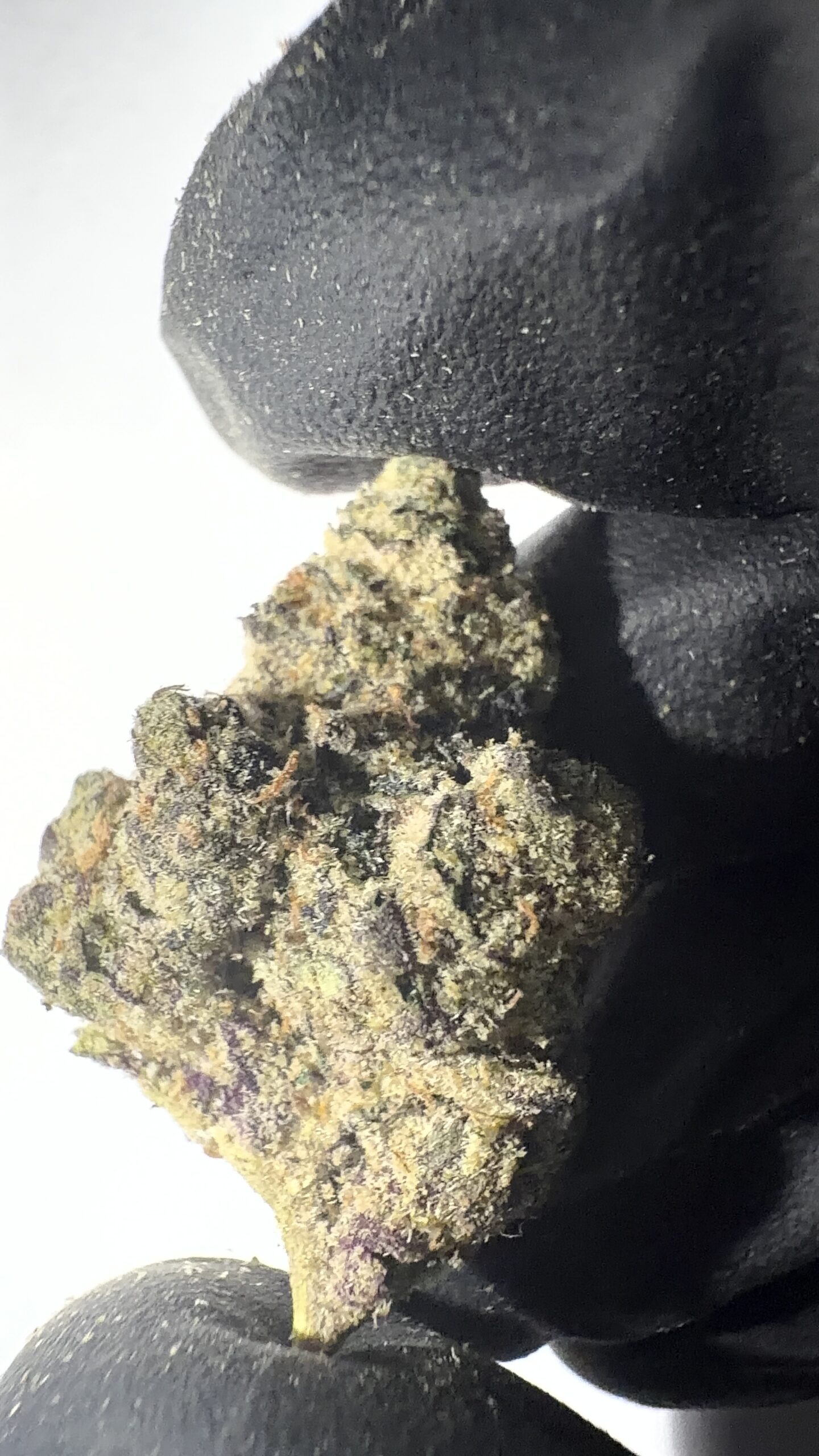 Northern Lights - THCA Flower (Indica) - Image 2