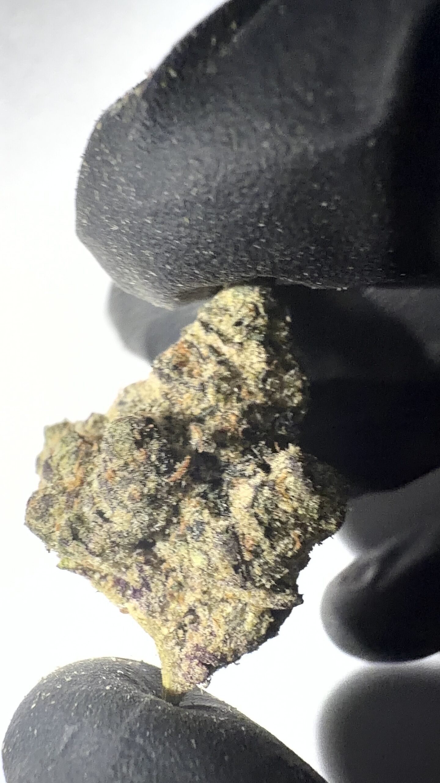 Northern Lights - THCA Flower (Indica)