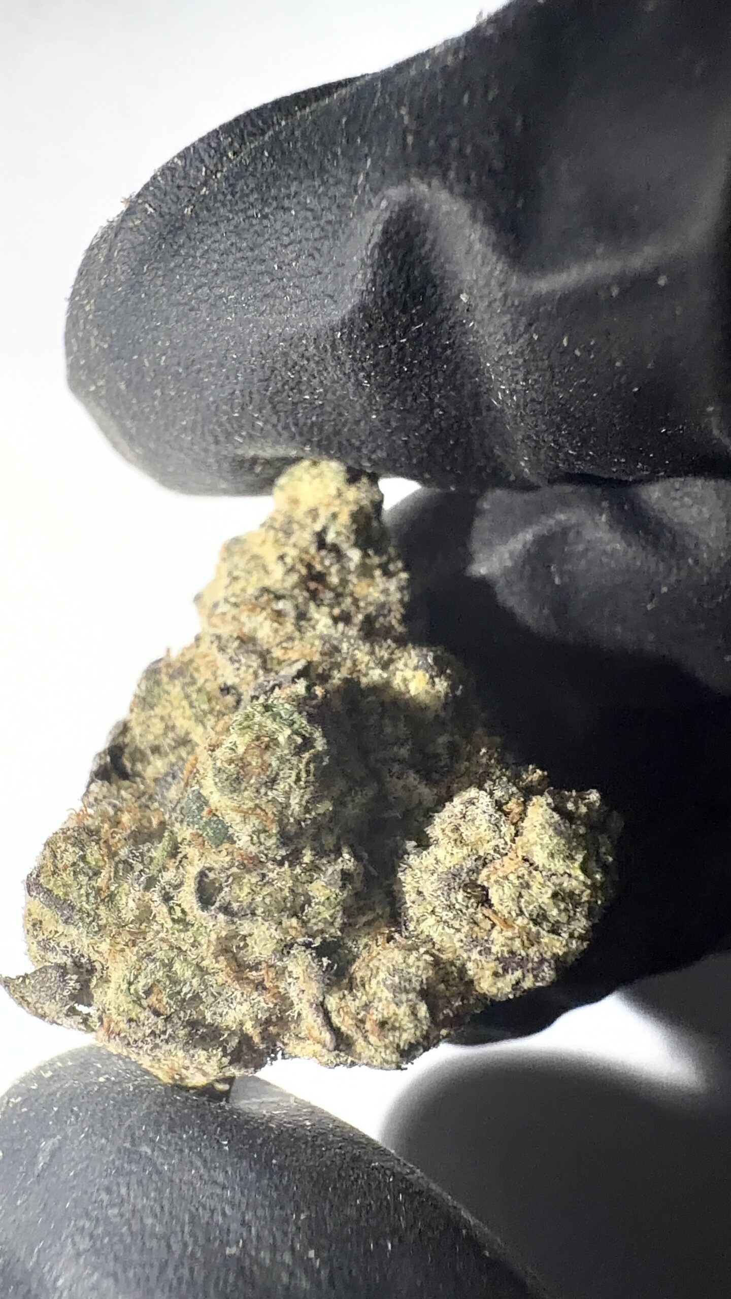 Northern Lights - THCA Flower (Indica) - Image 3
