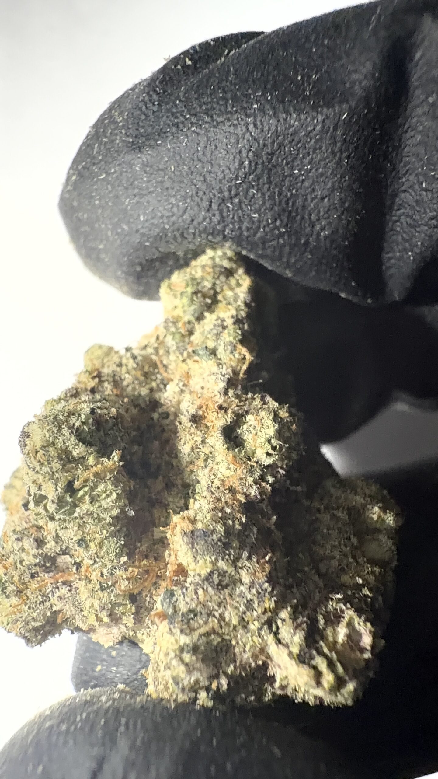 Northern Lights - THCA Flower (Indica) - Image 6