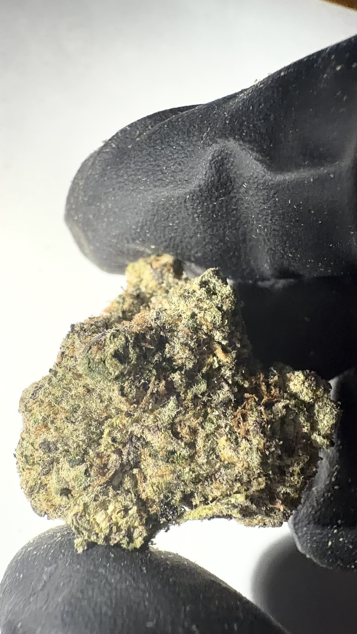 Northern Lights - THCA Flower (Indica) - Image 4