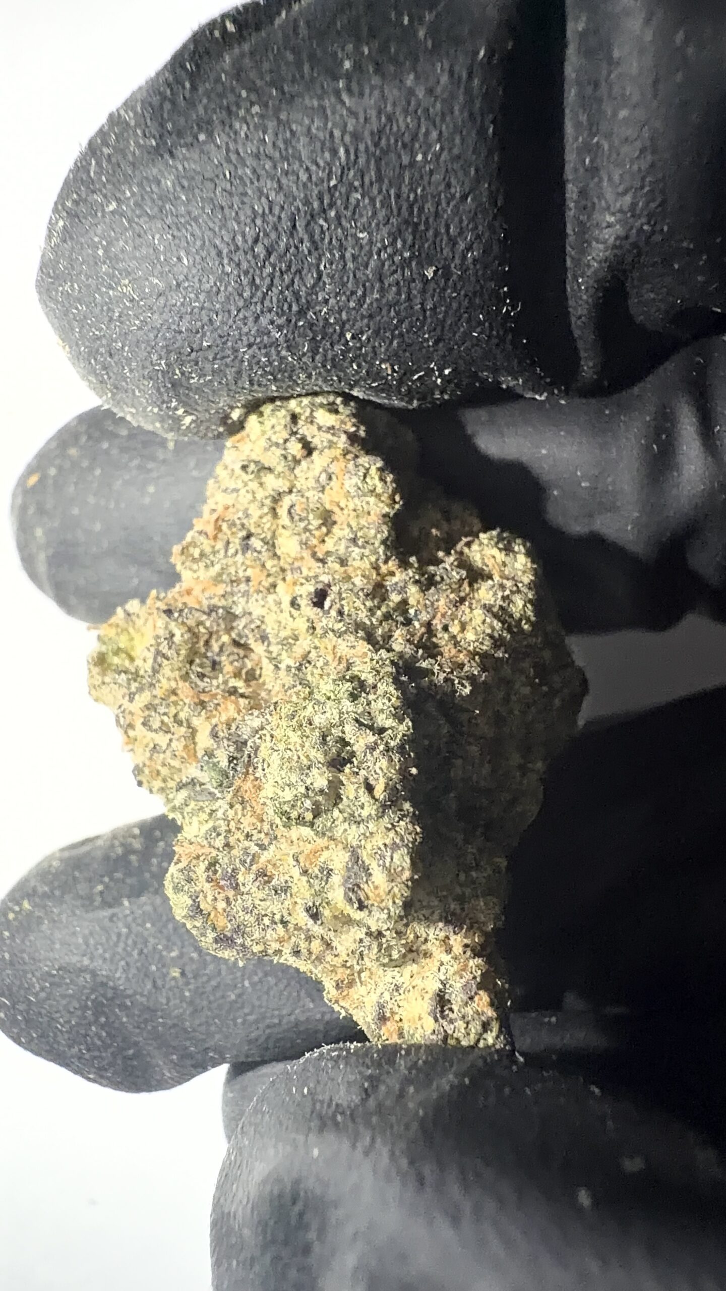 Northern Lights - THCA Flower (Indica) - Image 5