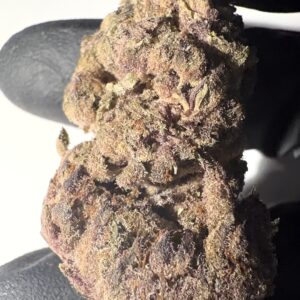 Tropicana Cherry Cookies - THCA Flower (Sativa)