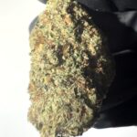Lemonatti - Light Assist THCA Flower (Hybrid)