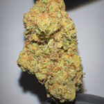 Melon Haze - Light Assist THCA Flower (Sativa)