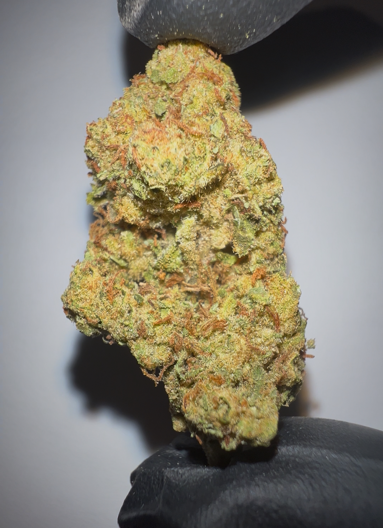 Melon Haze - Light Assist THCA Flower (Sativa)
