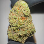 Strawberry Mimosa - Light Assist THCA Flower (Sativa)
