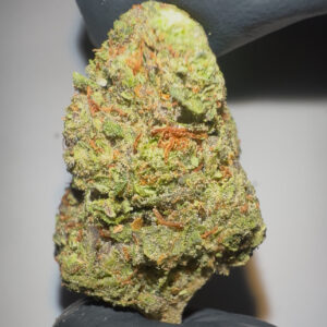 Strawberry Mimosa - Light Assist THCA Flower (Sativa)
