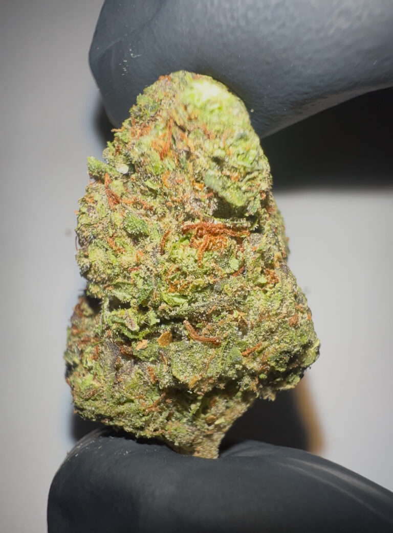 Strawberry Mimosa - Light Assist THCA Flower (Sativa)