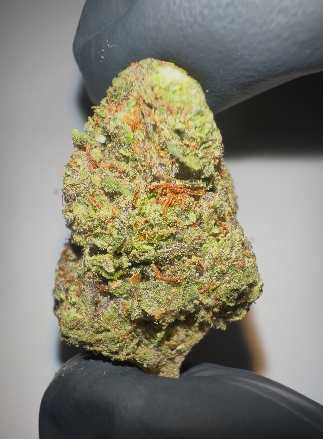 Strawberry Mimosa - Light Assist THCA Flower (Sativa)