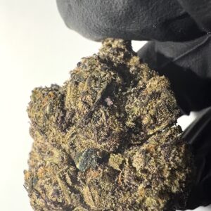 Blue Lobster - THCA Flower (Hybrid)