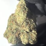 Candy Mob - Light Assist THCA Flower (Sativa)
