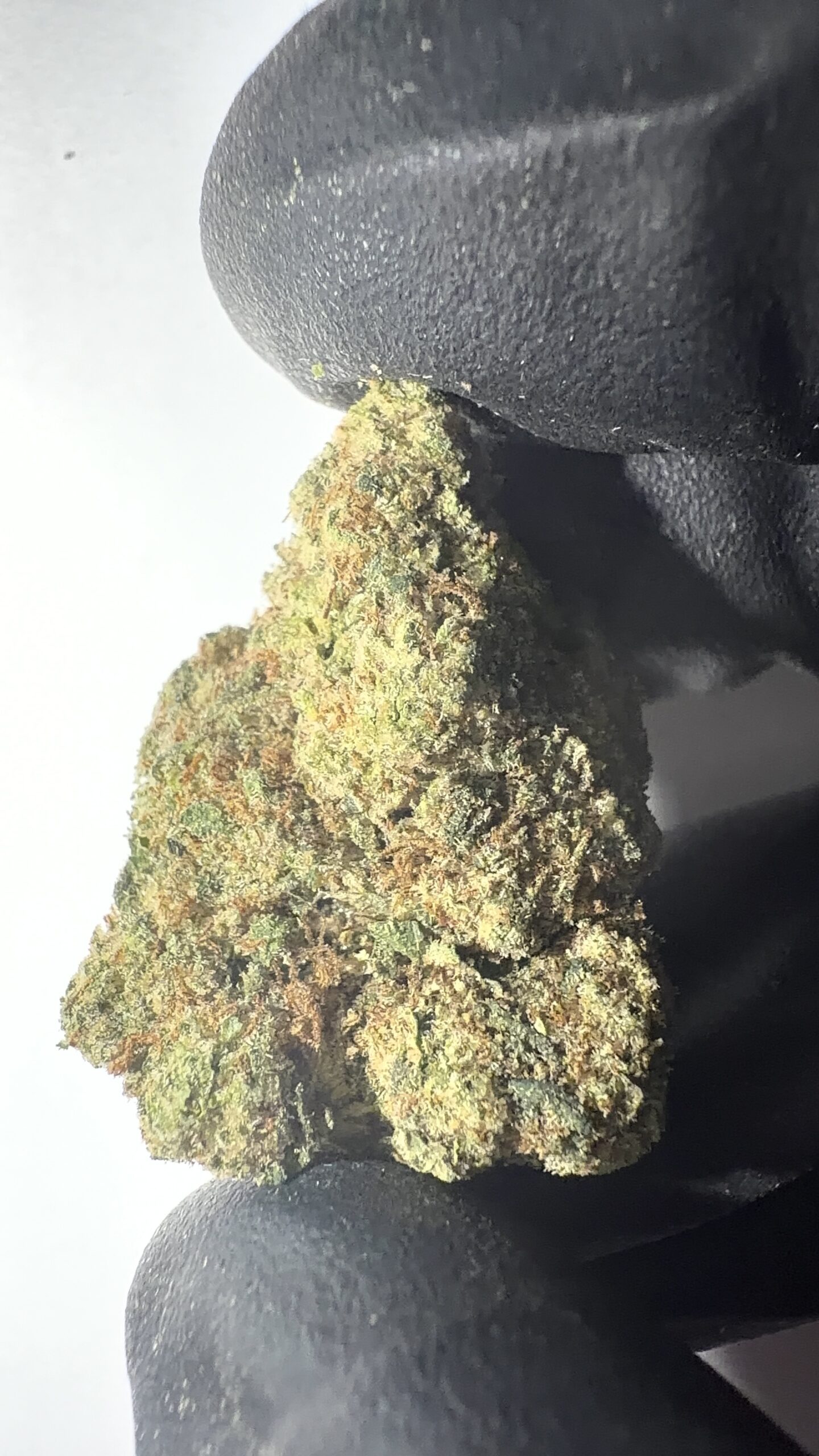 Candy Mob - Light Assist THCA Flower (Sativa) - Image 2