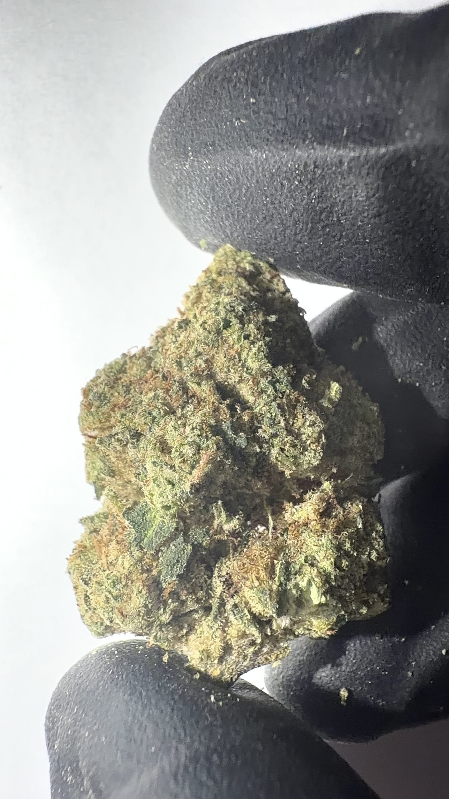 Candy Mob - Light Assist THCA Flower (Sativa) - Image 3