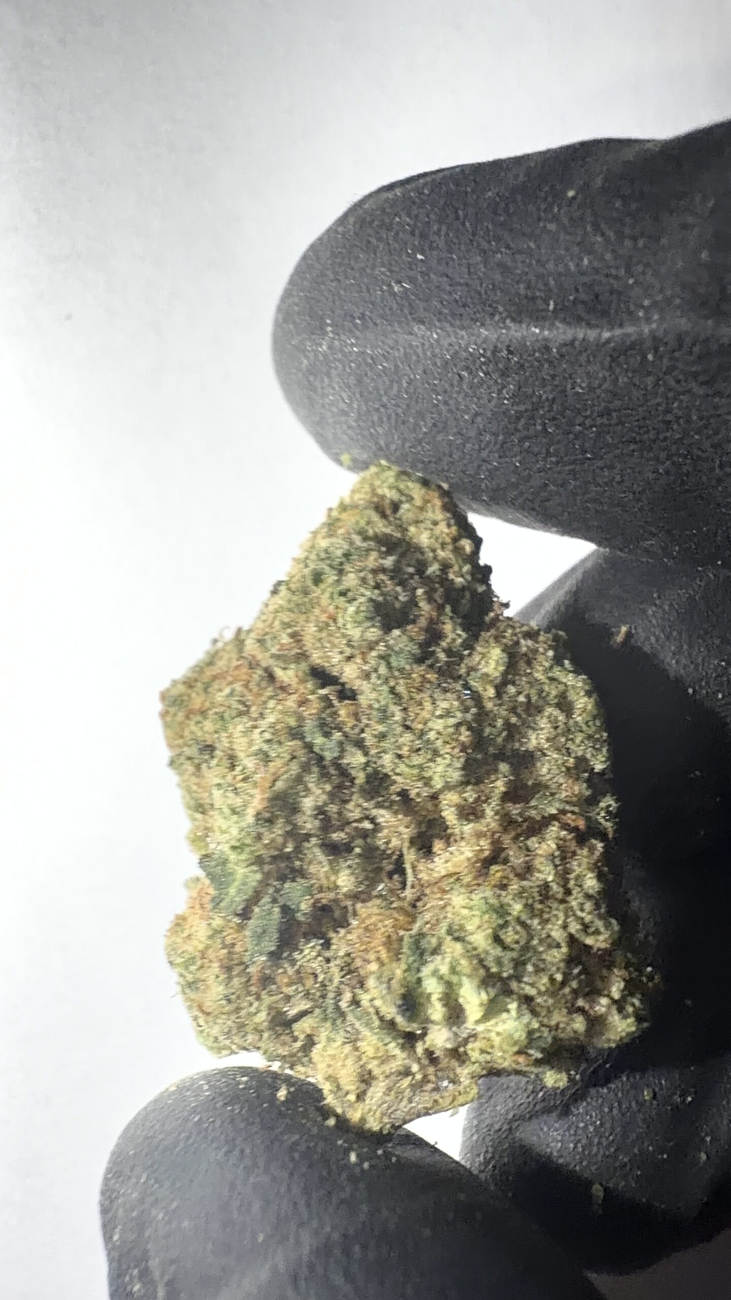 Candy Mob - Light Assist THCA Flower (Sativa)
