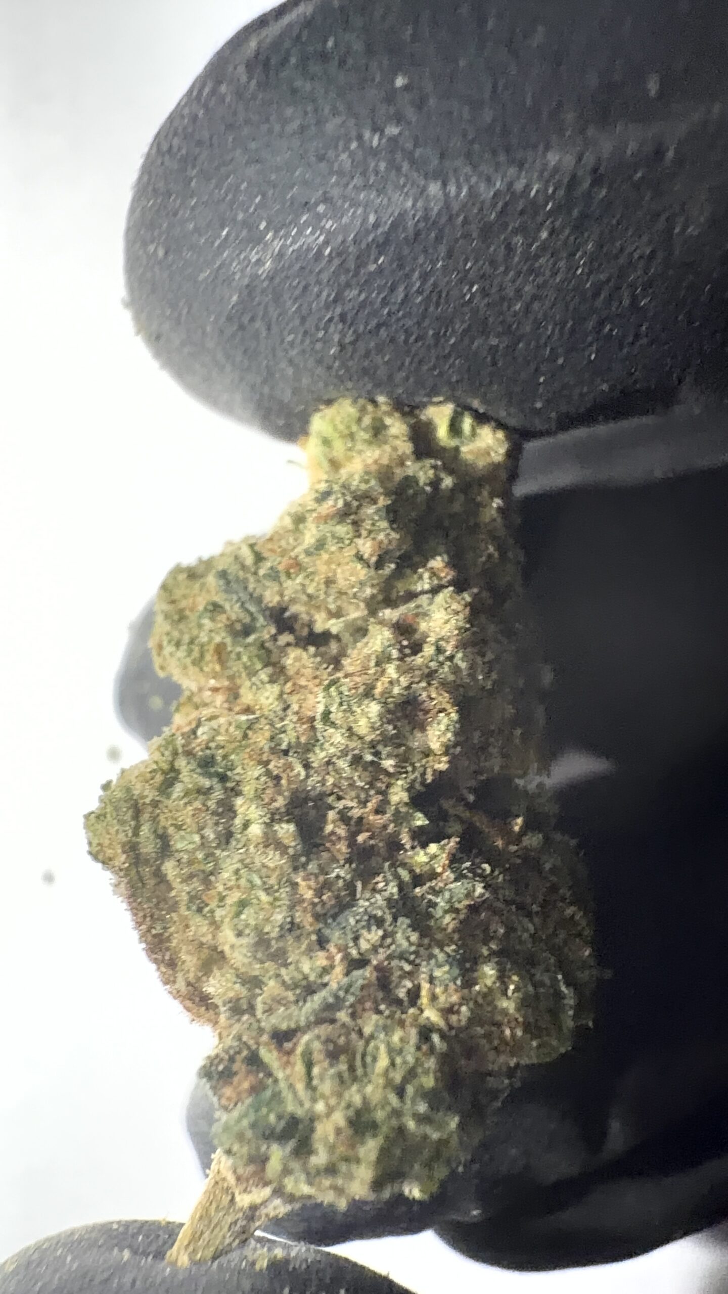 Candy Mob - Light Assist THCA Flower (Sativa) - Image 4