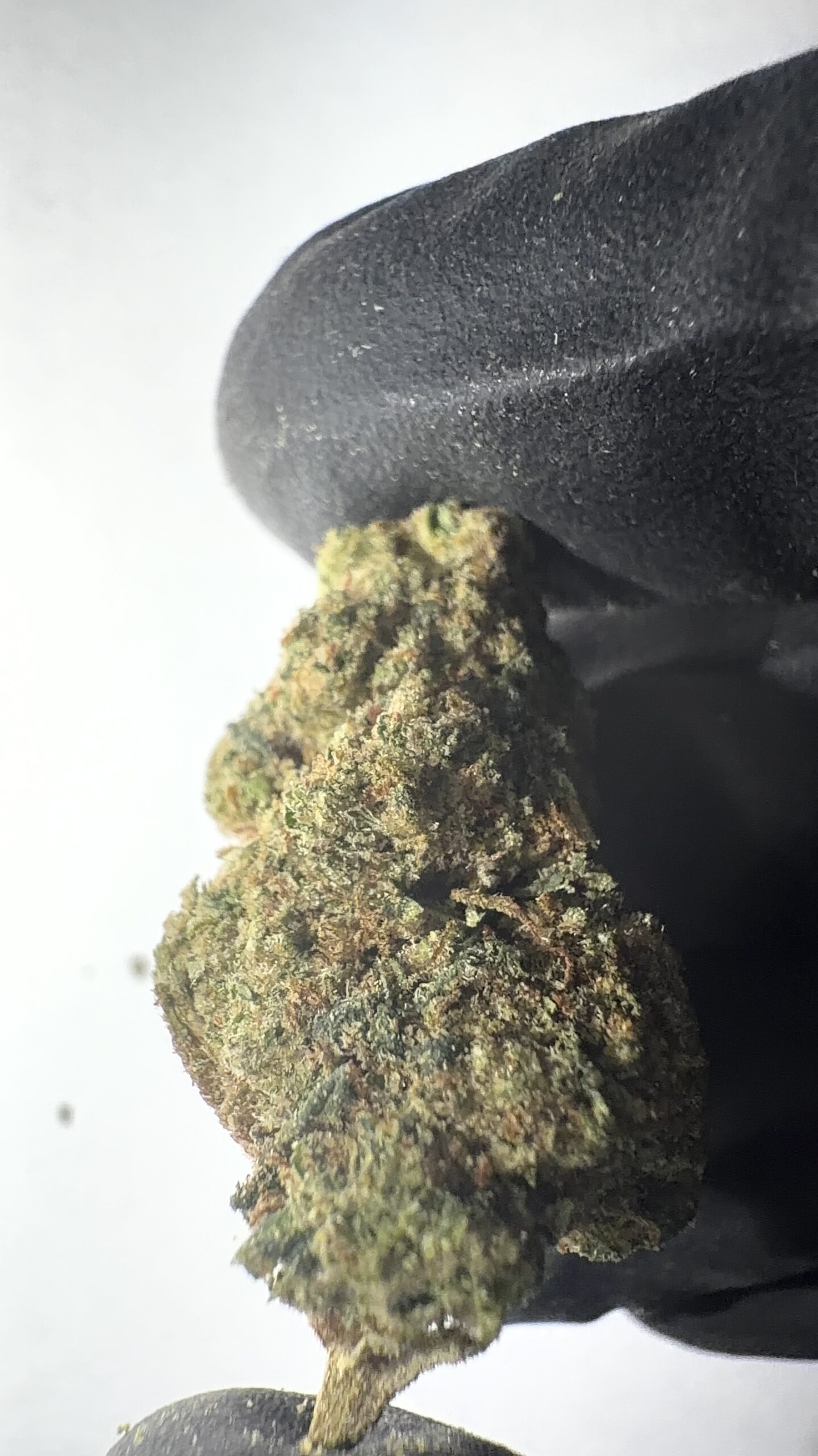 Candy Mob - Light Assist THCA Flower (Sativa) - Image 5