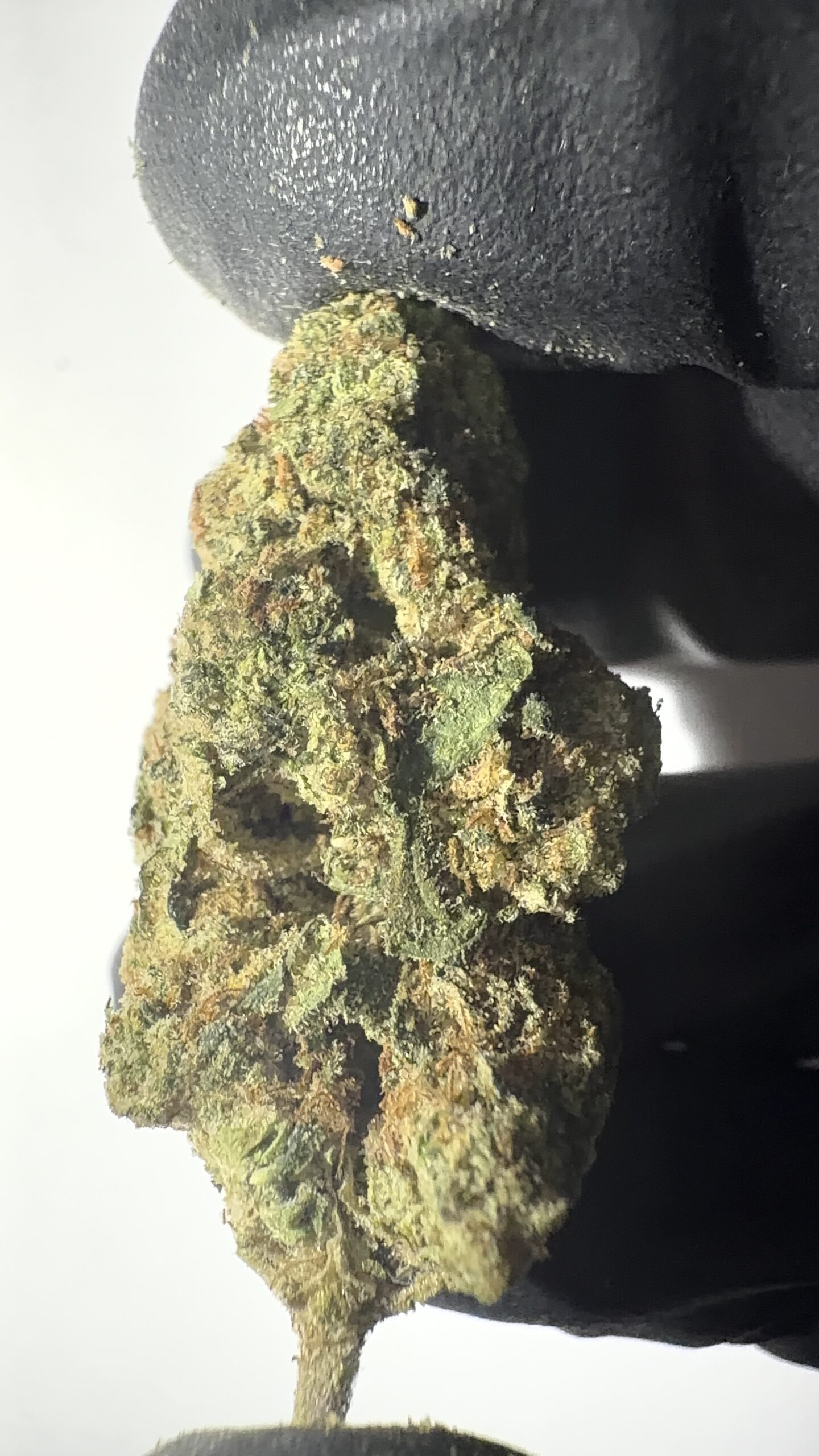 Candy Mob - Light Assist THCA Flower (Sativa) - Image 7