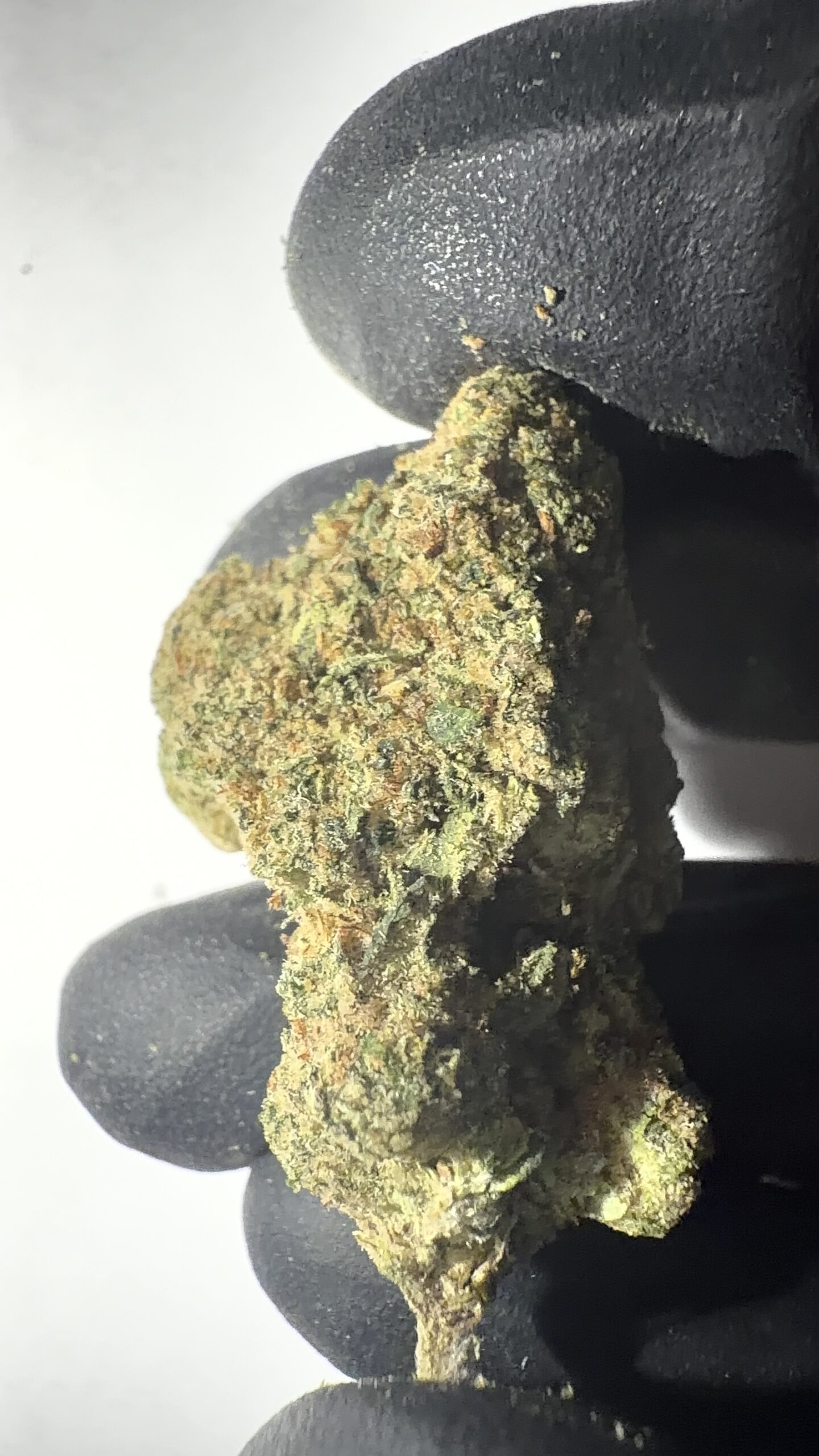 Candy Mob - Light Assist THCA Flower (Sativa) - Image 8