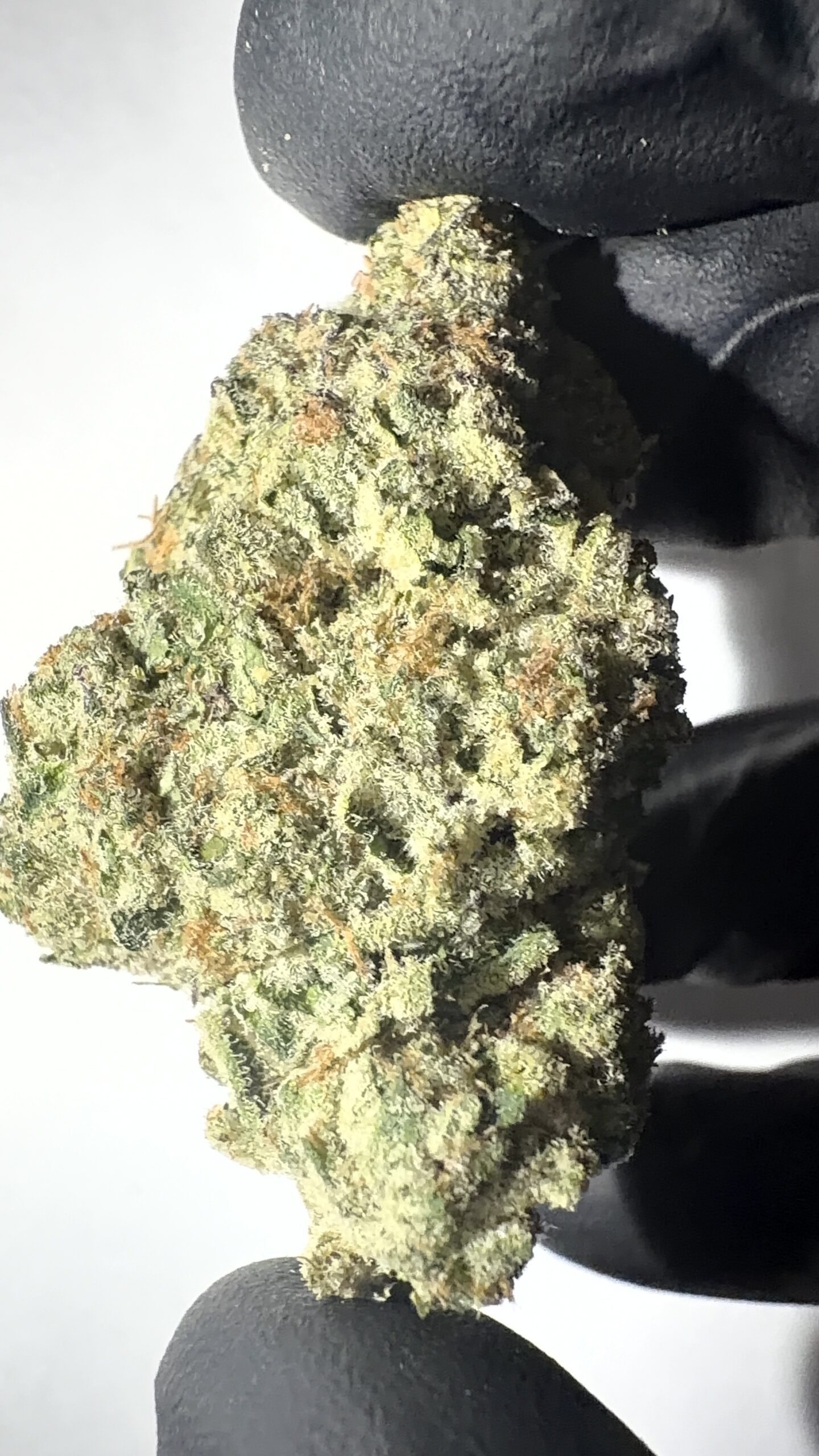 Cosmic Cookies - THCA Flower (Hybrid) - Image 2