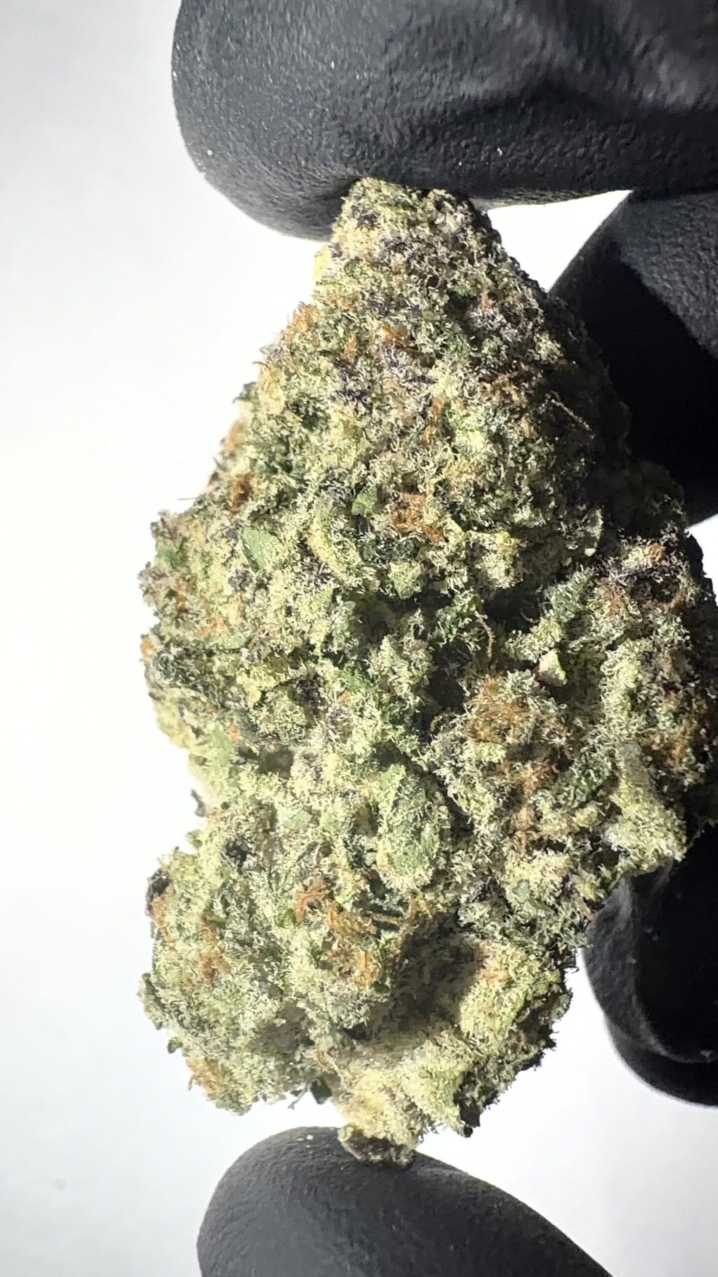 Cosmic Cookies - THCA Flower (Hybrid) - Image 3