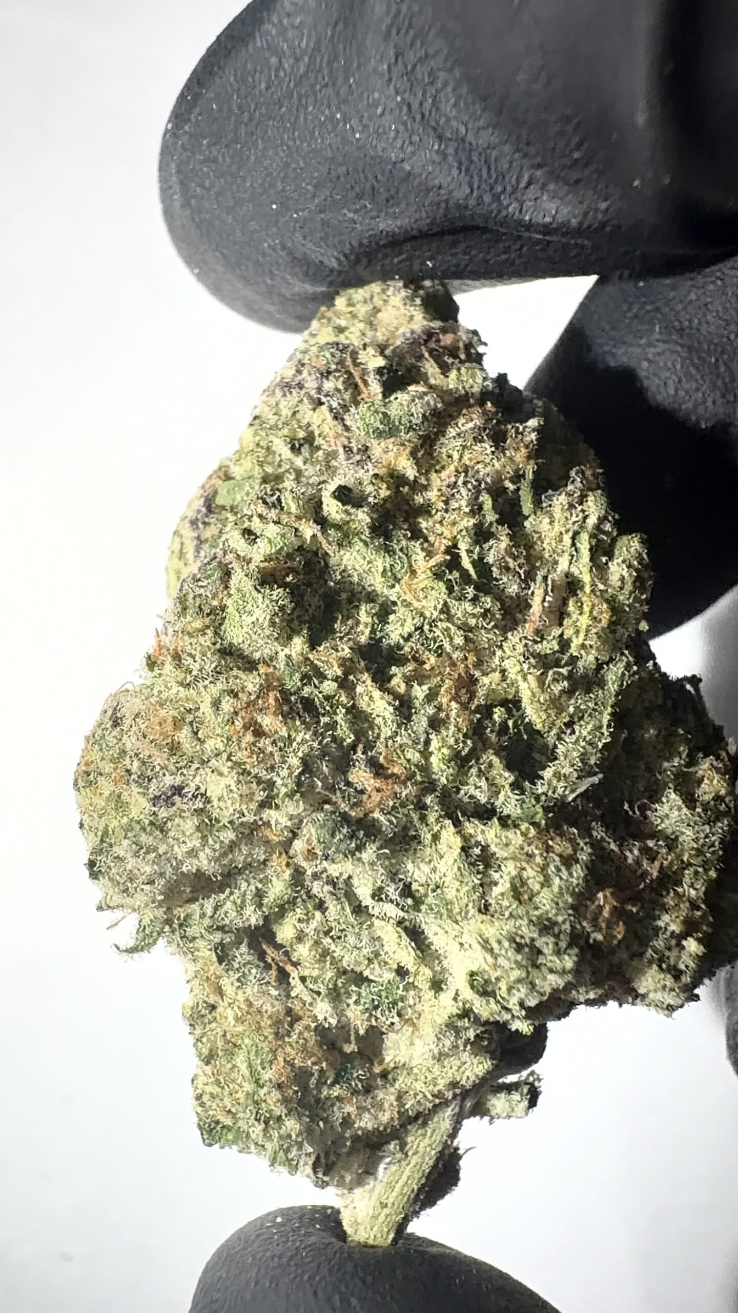 Cosmic Cookies - THCA Flower (Hybrid) - Image 4