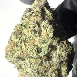 Cosmic Cookies - THCA Flower (Hybrid)