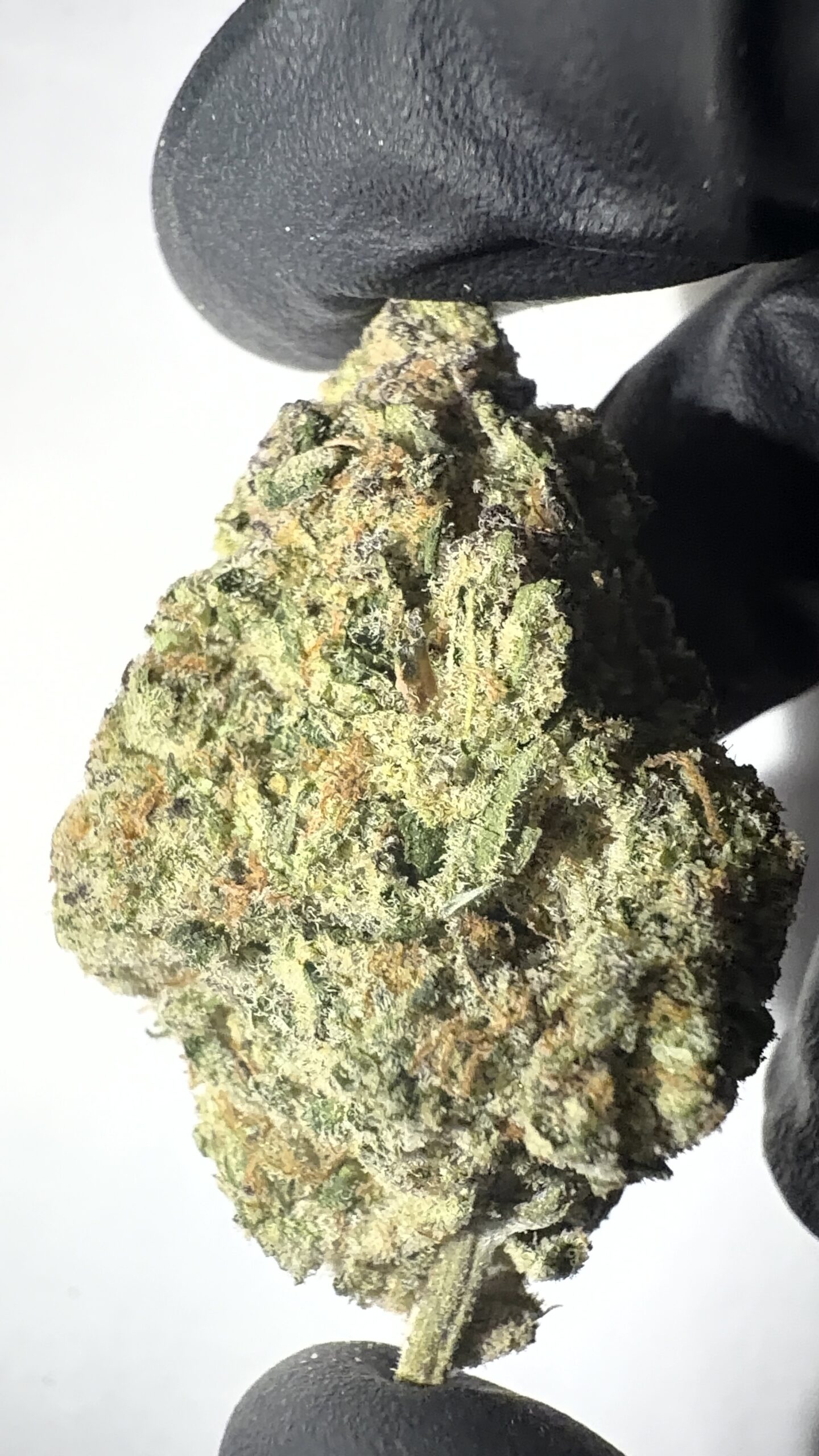 Cosmic Cookies - THCA Flower (Hybrid)