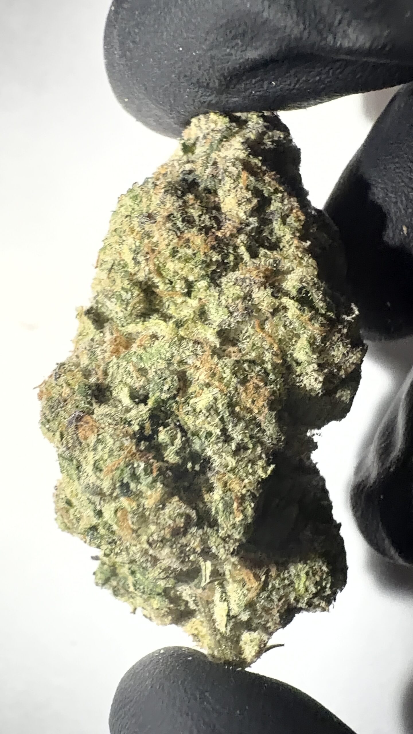 Cosmic Cookies - THCA Flower (Hybrid) - Image 5