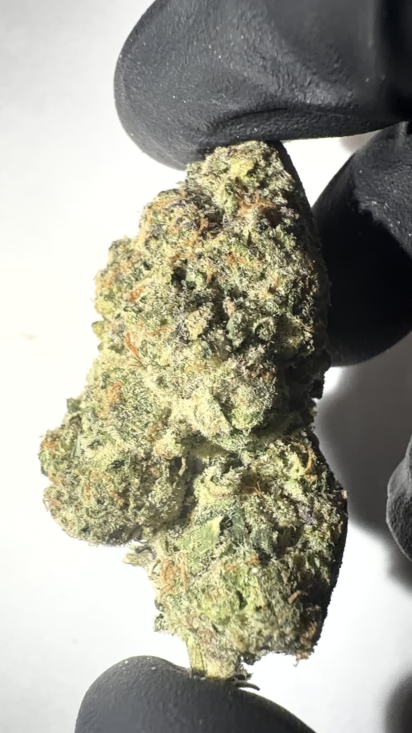 Cosmic Cookies - THCA Flower (Hybrid) - Image 6