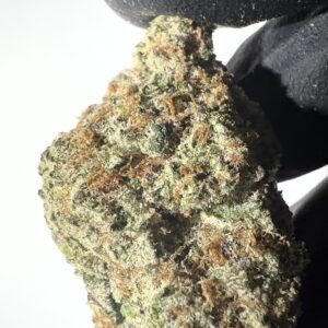 Dante's Inferno - THCA Flower (Hybrid)