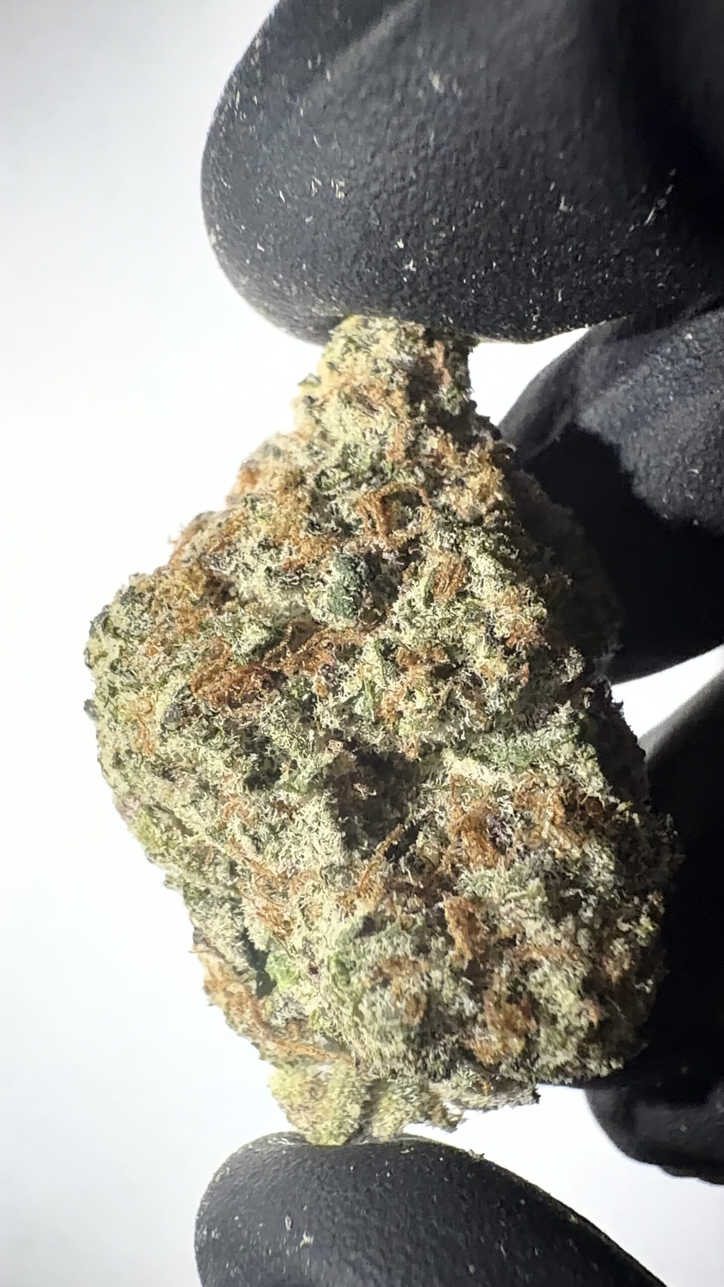 Dante's Inferno - THCA Flower (Hybrid)