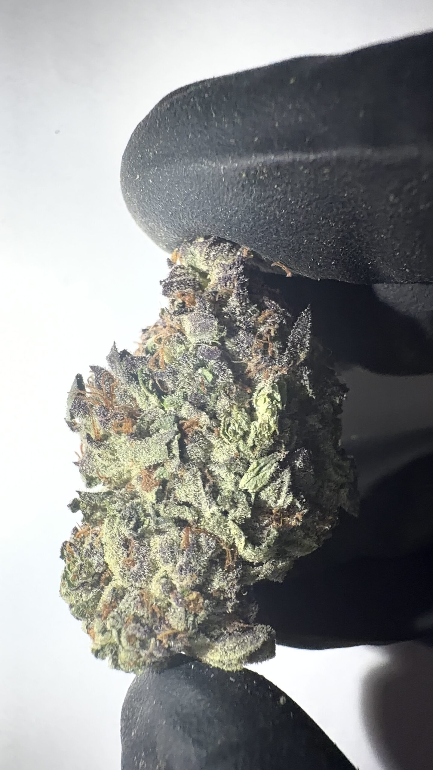 Lava Cake - Light Assist THCA Flower (Hybrid) - Image 2